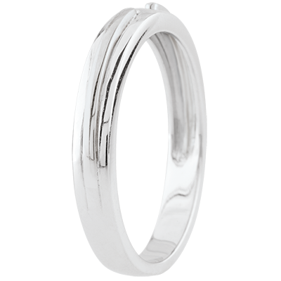 Promesa Nº93