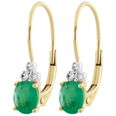 Rajski Ptak nr 8 Rajski Ptak nr 8