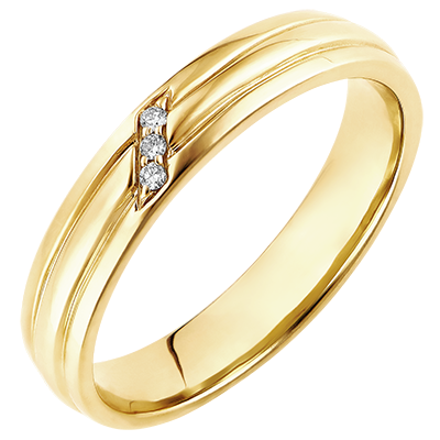 Ring Chiaroscuro - Diamanten Klauw - 9 geelgoud en : juweel