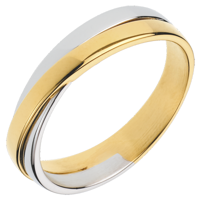 Saturn Nº13