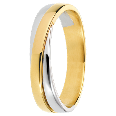 Saturn Nº13
