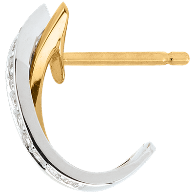 Saturn Nº5