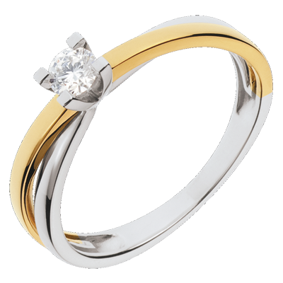 Saturne No. 29 Saturne No. 29