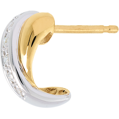 Saturno Nº4