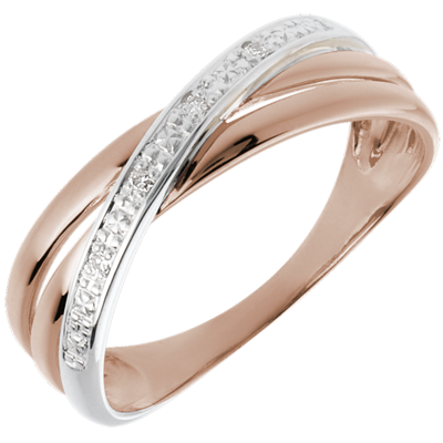 Saturnus nr. 10 Saturnus nr. 10