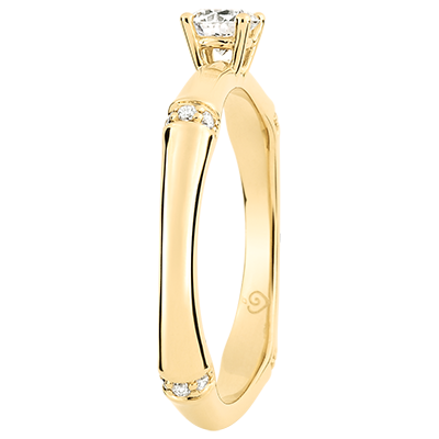 Święta Dżungla Nº5