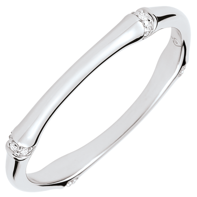 Święta Dżungla nr 4 Święta Dżungla nr 4