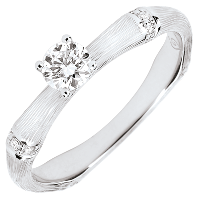 Święta Dżungla nr 5 Święta Dżungla nr 5