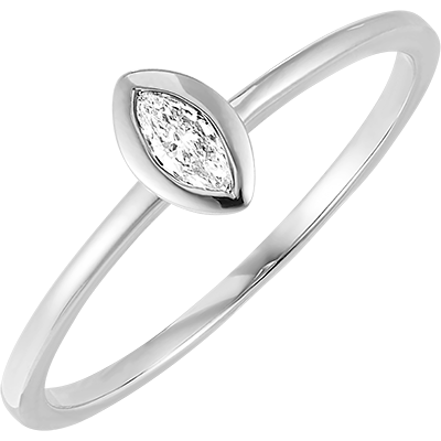 Świeżość Nº79