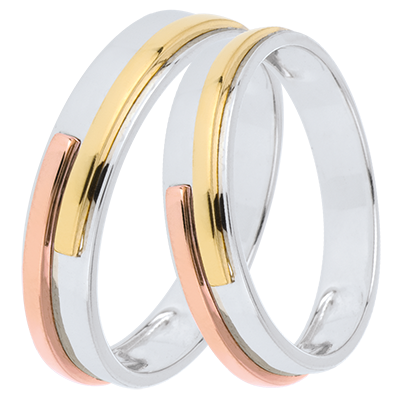 Titan Duo Trouwringen – Drie kleuren goud – 9 karaat Titan Duo Trouwringen – Drie kleuren goud – 9 karaat