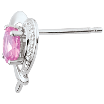 Uccello del Paradiso n. 12