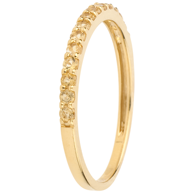 Uccello del Paradiso n. 2