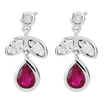 Uccello del Paradiso n. 22