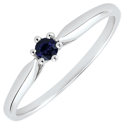 Uccello del Paradiso n. 47