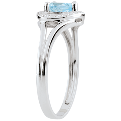 Uccello del Paradiso n. 5