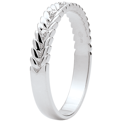 Zaczarowany Ogród nr 15