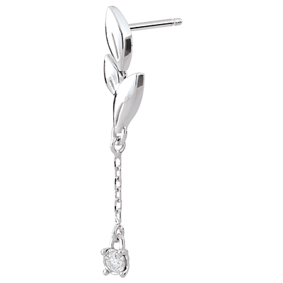 Zaczarowany Ogród nr 5