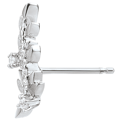 Zaczarowany Ogród nr 6