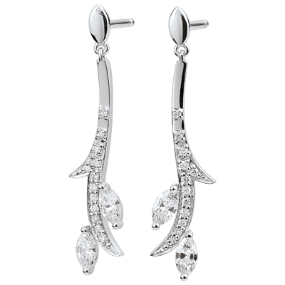 Zaczarowany Ogród nr 7